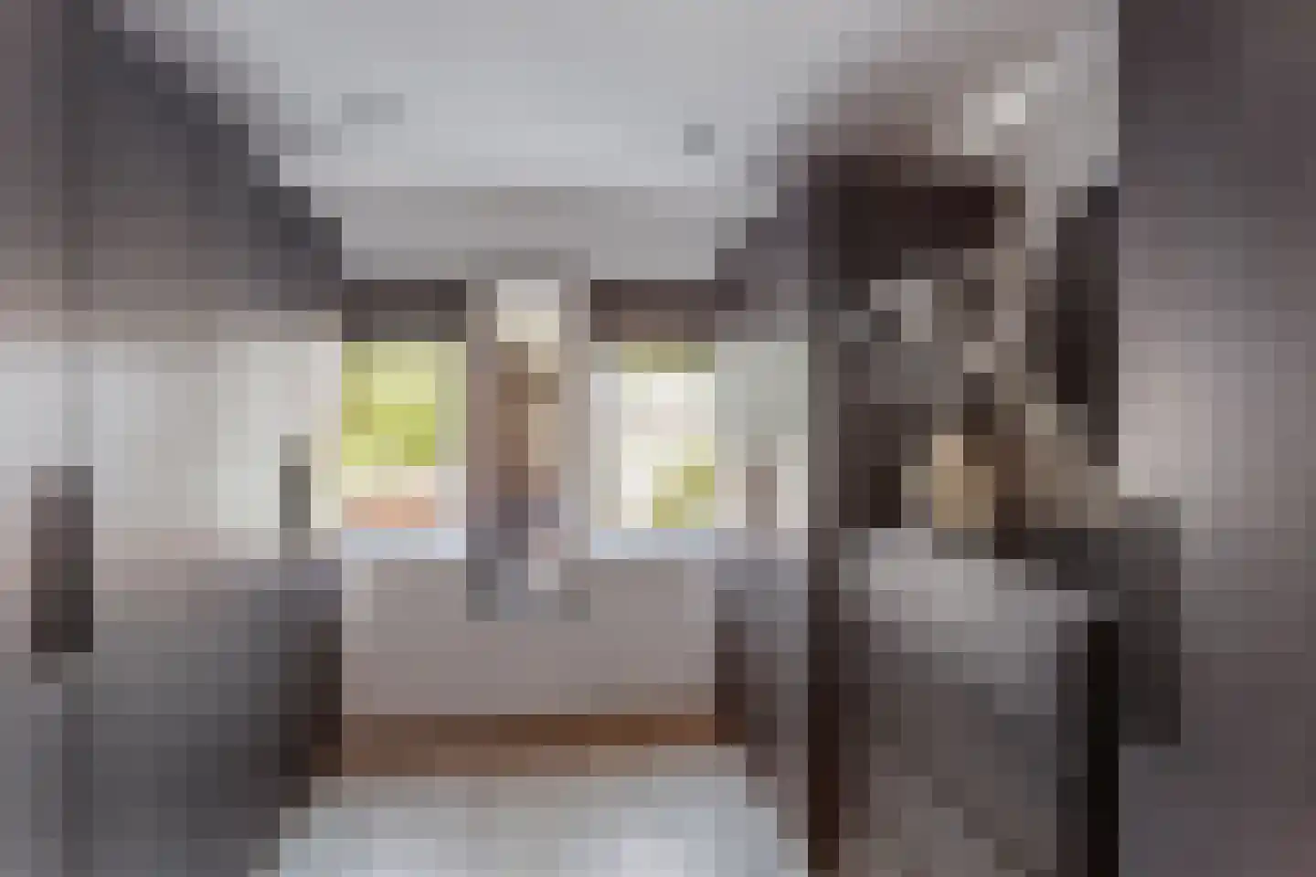 Dr. Kuijperstraat 6 Oldenzaal thumbnail 18