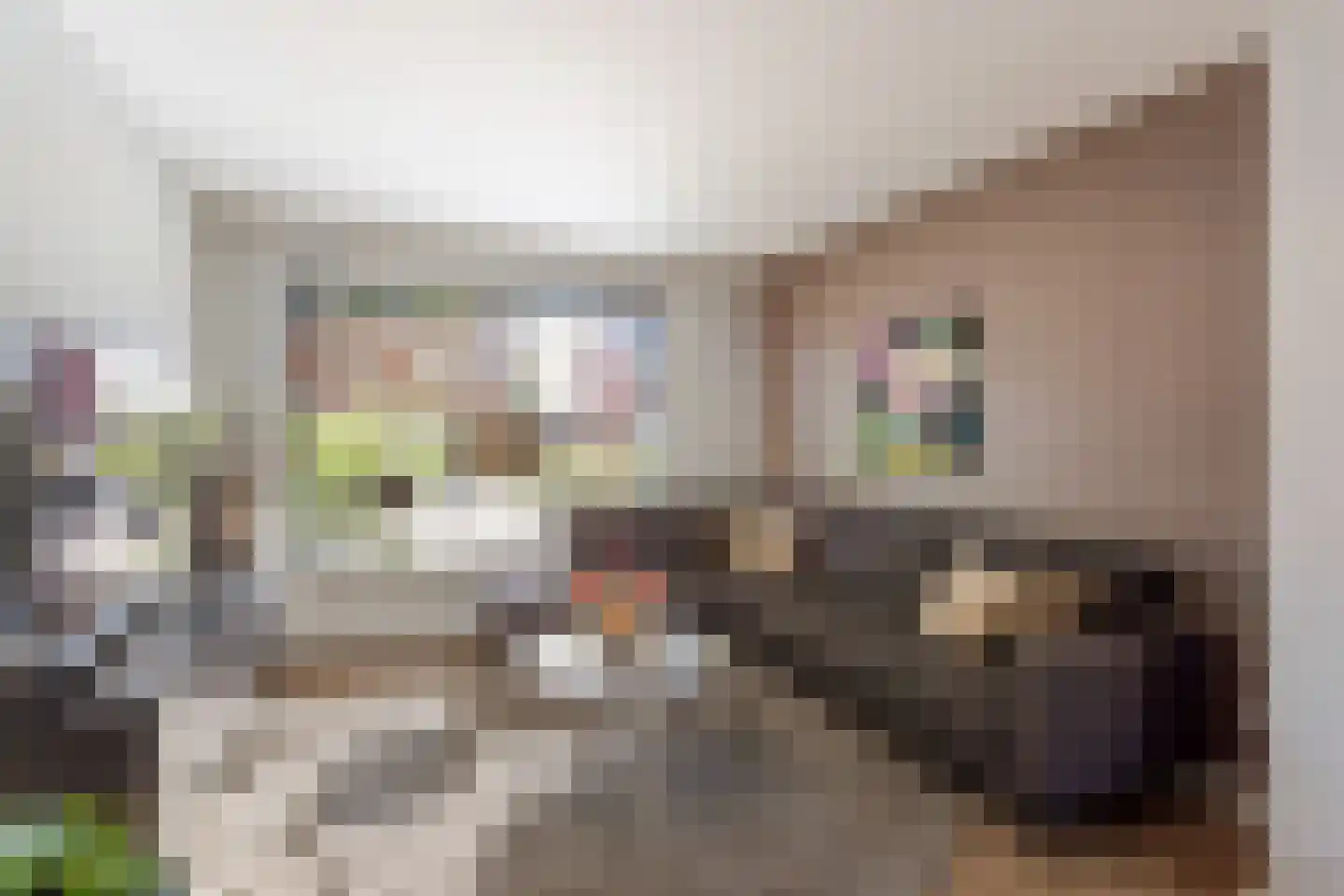 Dr. Kuijperstraat 6 Oldenzaal thumbnail 8