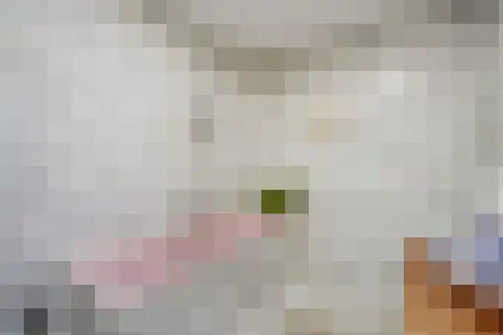Dr. Kuyperkade 14 Maassluis thumbnail 46