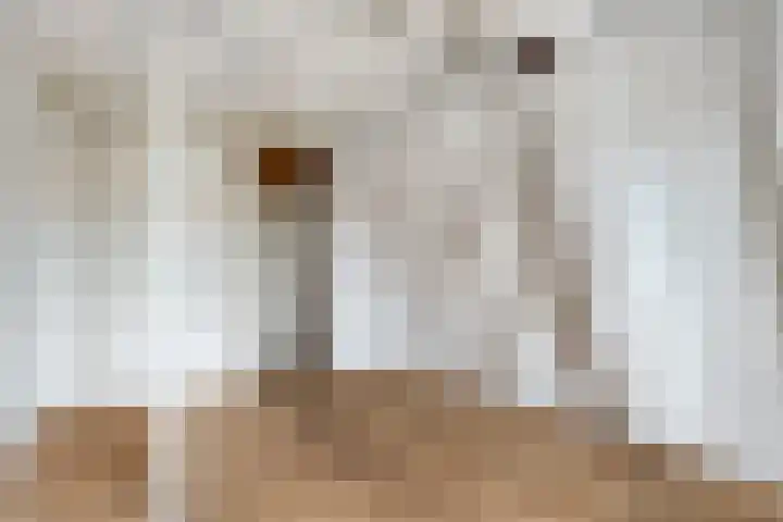 Dr. Kuyperkade 23 A Maassluis thumbnail 37