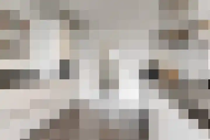 Dr. Kuyperkade 30 Maassluis thumbnail 23