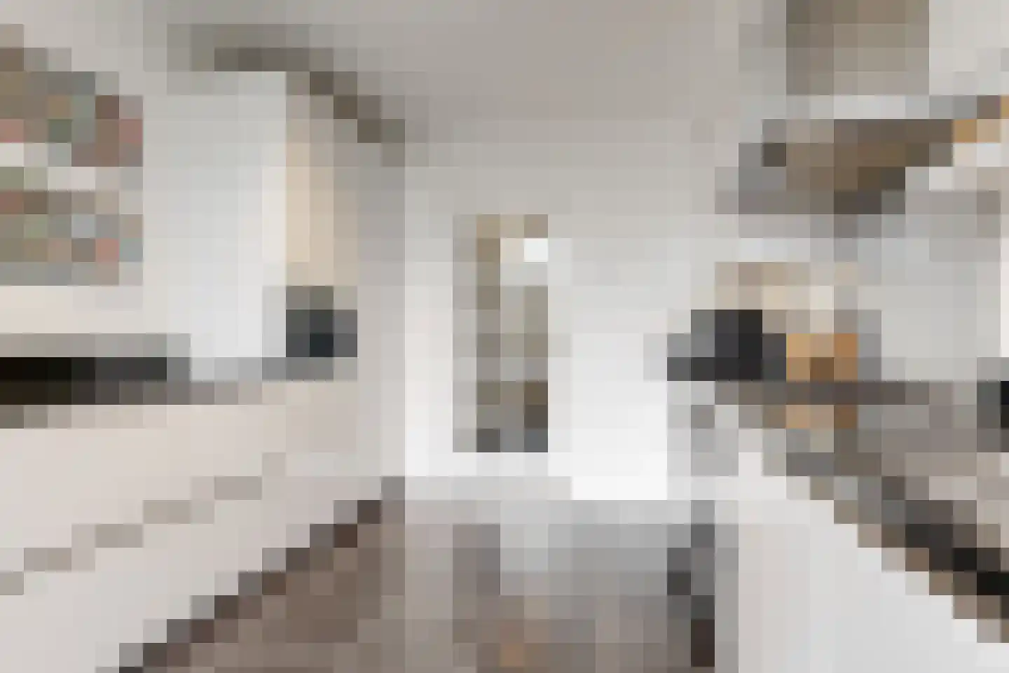 Dr. Kuyperkade 30 Maassluis thumbnail 23