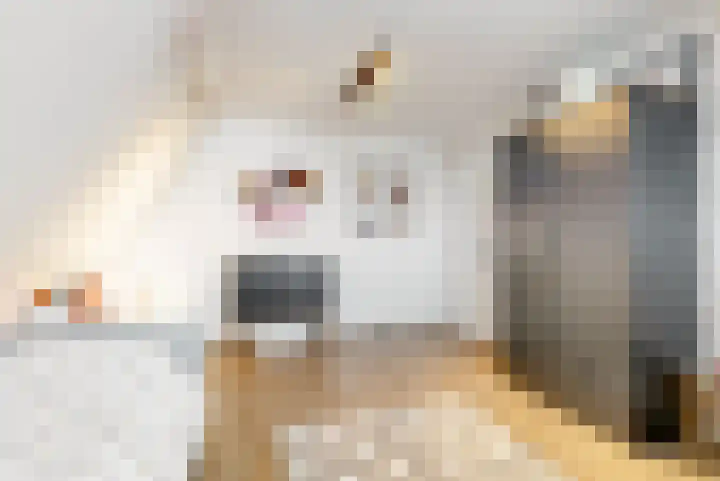 Dr. Kuyperkade 30 Maassluis thumbnail 43