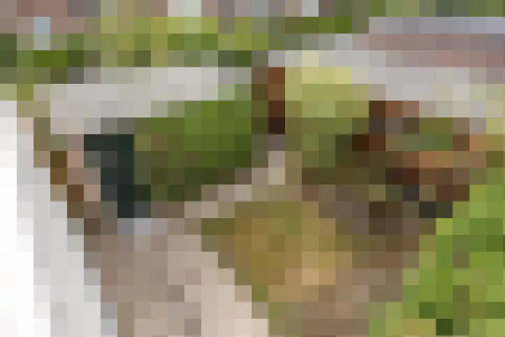 Dr. Kuyperlaan 11 Sneek thumbnail 19