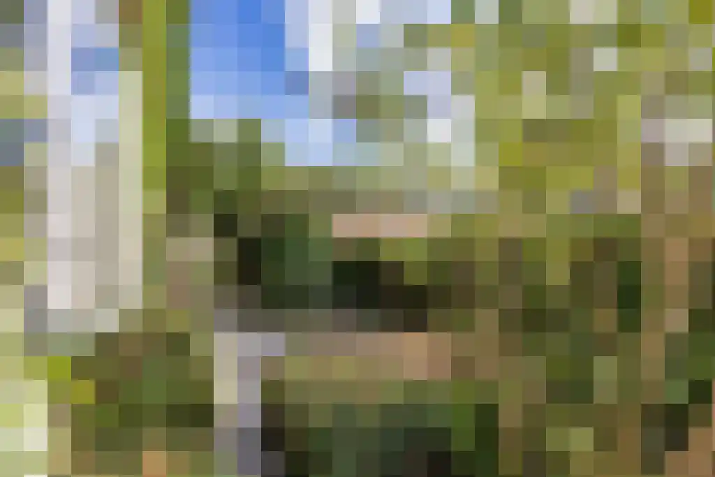 Dr. Kuyperlaan 11 Sneek thumbnail 23