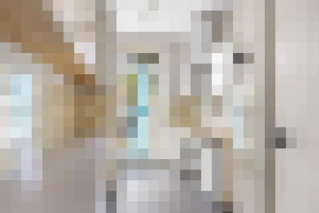 Dr. Kuyperlaan 11 Sneek thumbnail 6