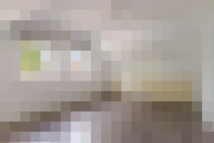 Dr. Kuyperlaan 14 Woerden thumbnail 20