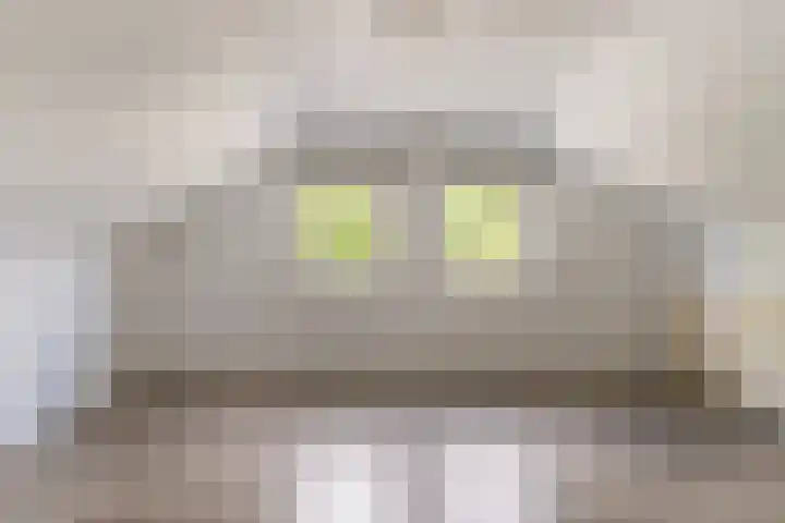 Dr. Kuyperlaan 14 Woerden thumbnail 22