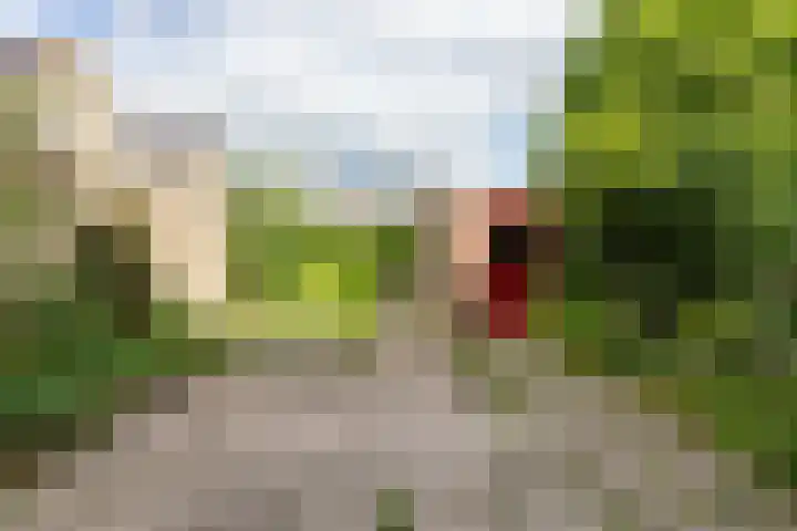 Dr. Kuyperlaan 14 Woerden thumbnail 24
