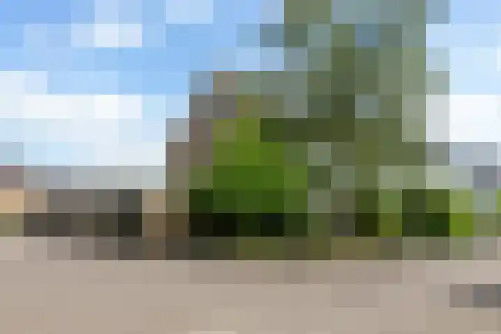 Dr. Kuyperlaan 14 Woerden thumbnail 26