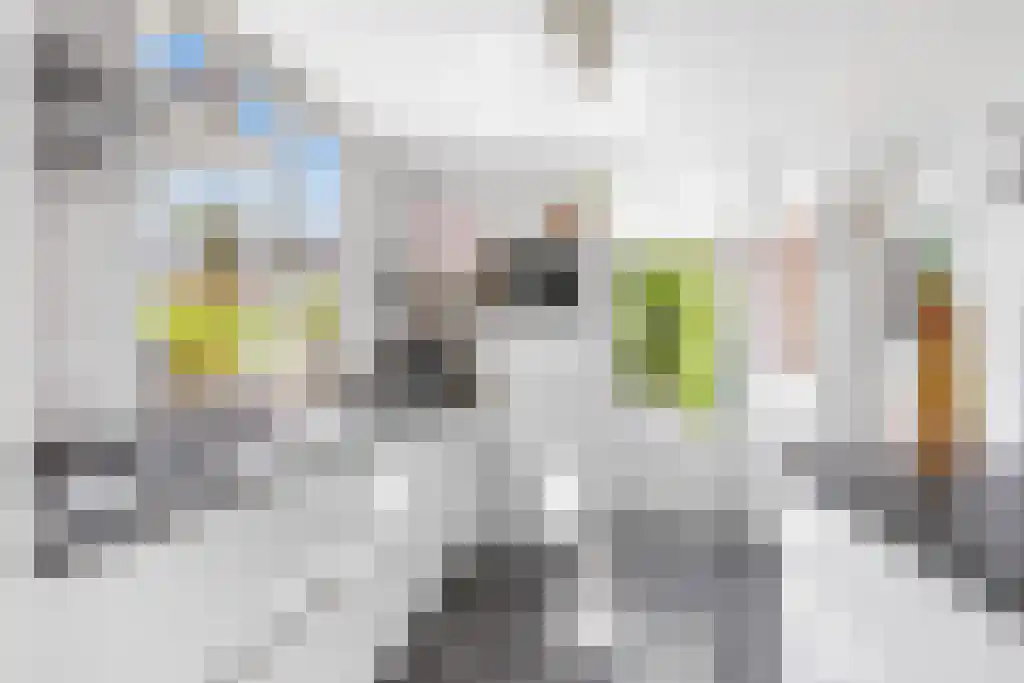 Dr. Kuyperlaan 17 Sneek thumbnail 17