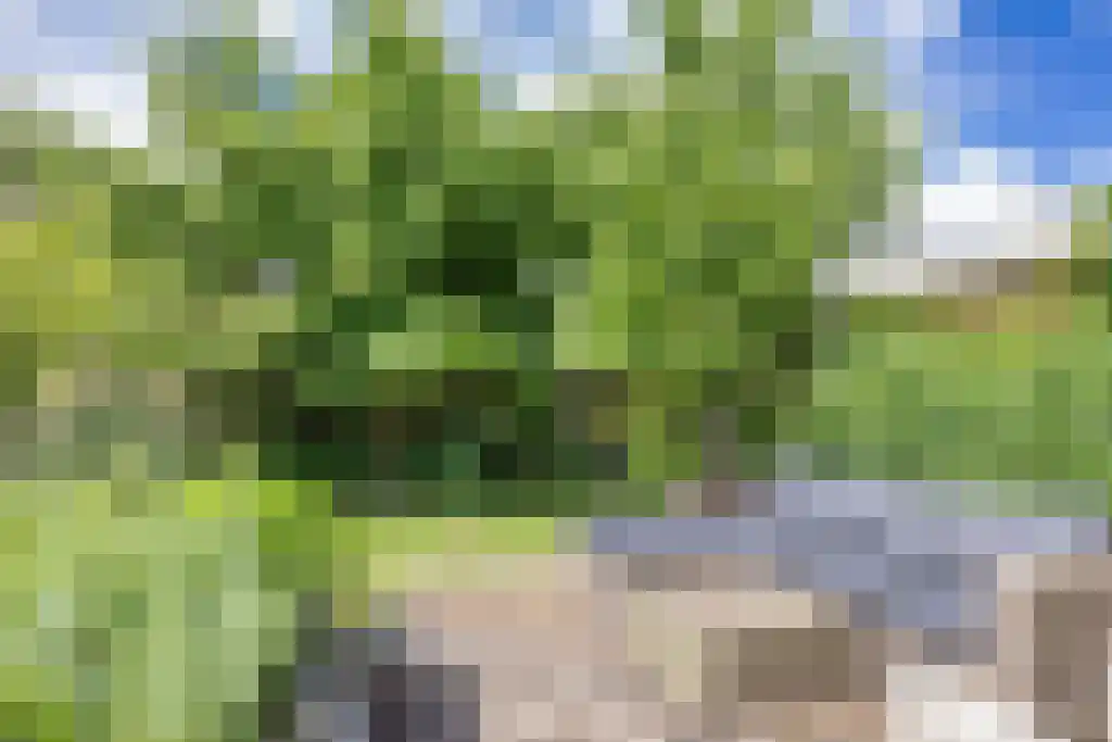 Dr. Kuyperlaan 17 Sneek thumbnail 37