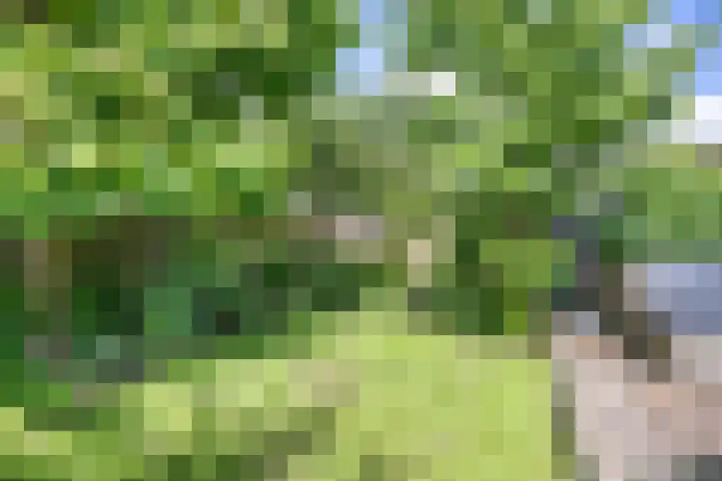 Dr. Kuyperlaan 17 Sneek thumbnail 38