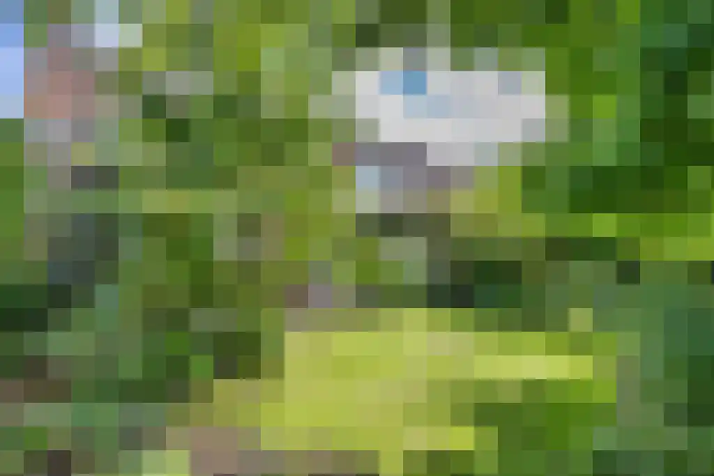 Dr. Kuyperlaan 17 Sneek thumbnail 39