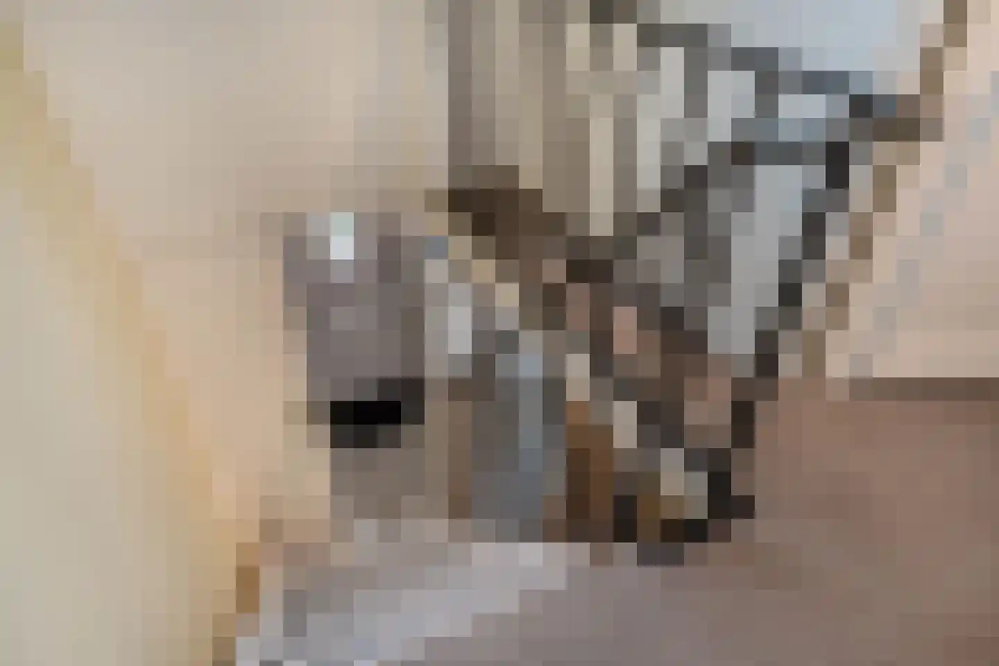 Dr. Kuyperlaan 2 Huizen thumbnail 18
