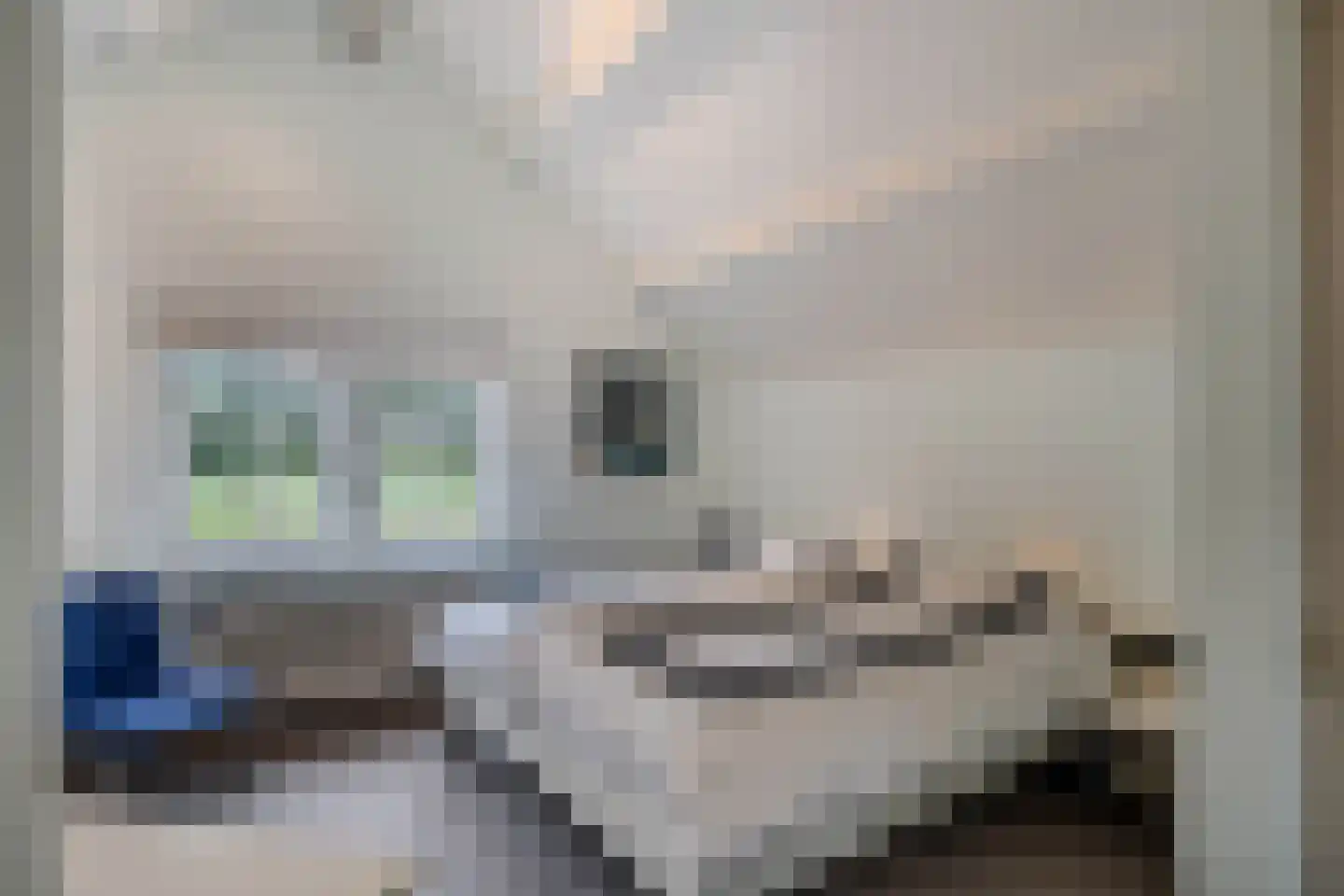 Dr. Kuyperlaan 2 Huizen thumbnail 21