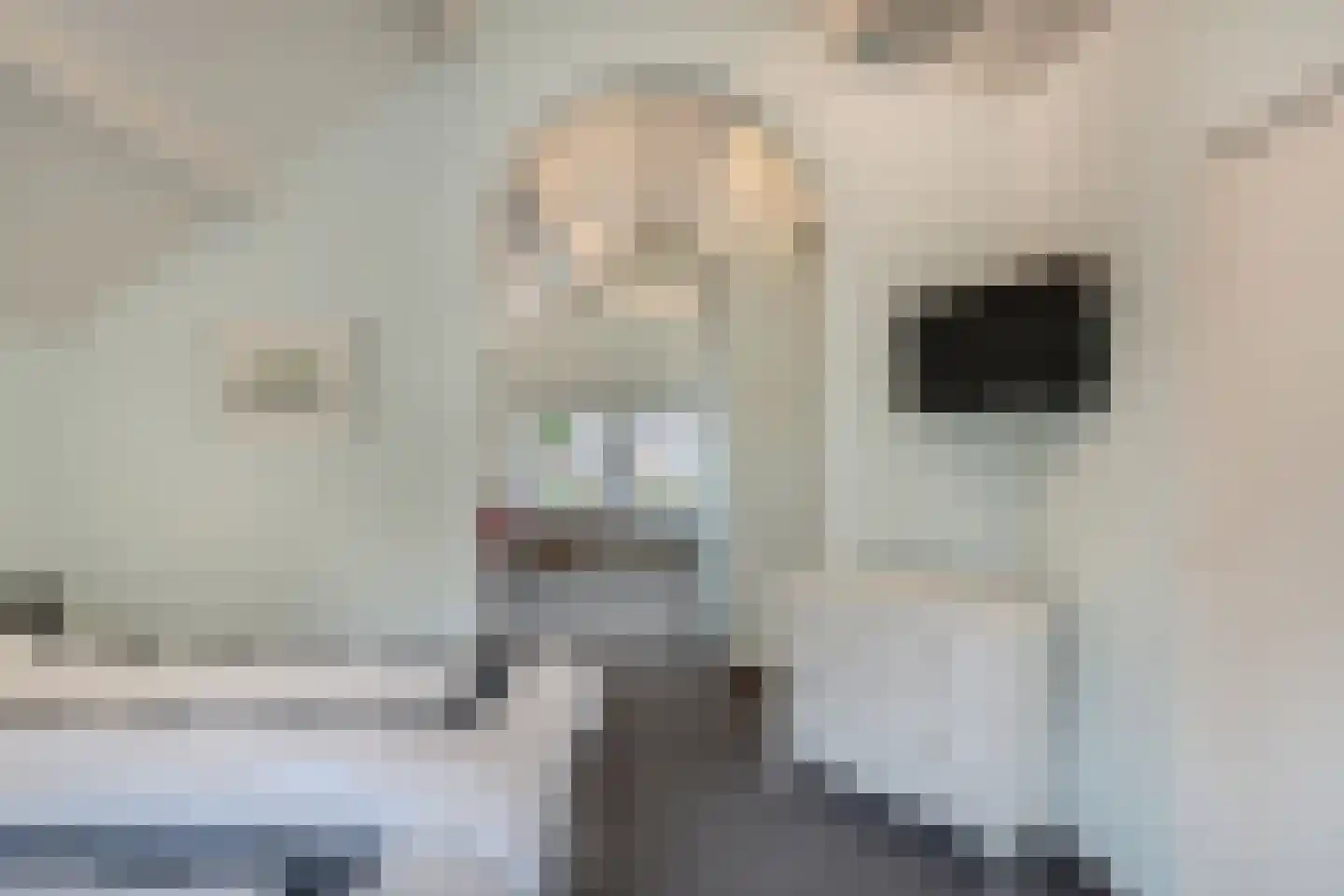 Dr. Kuyperlaan 2 Huizen thumbnail 23