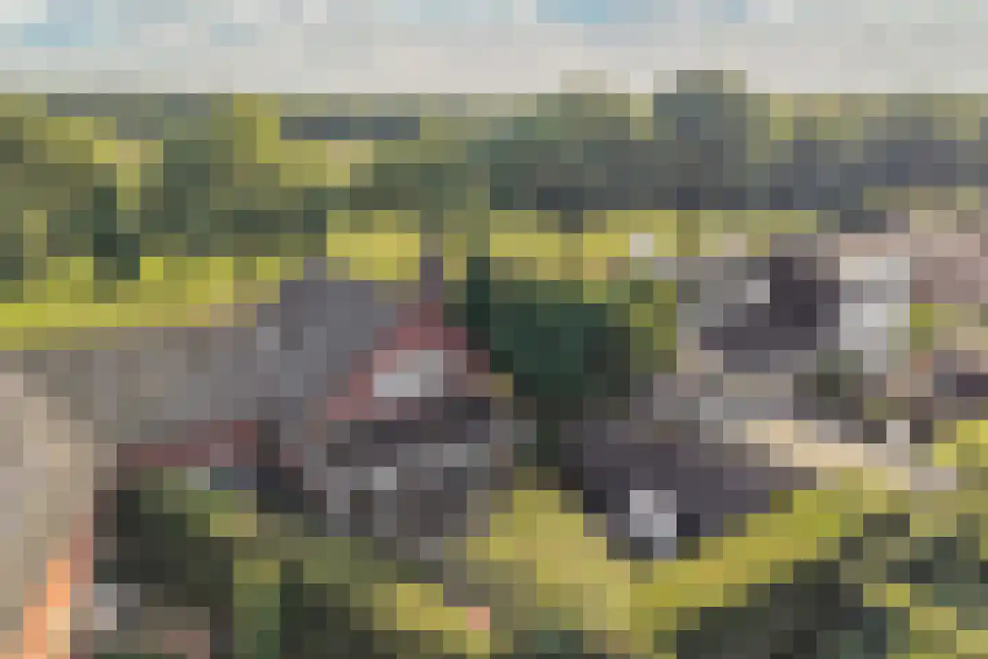 Dr. Kuyperlaan 2 Huizen thumbnail 33