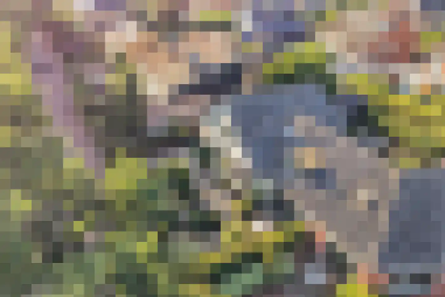 Dr. Kuyperlaan 2 Huizen thumbnail 35