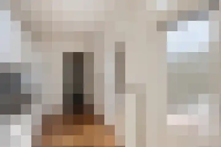 Dr. Kuyperlaan 2 Waalwijk thumbnail 10