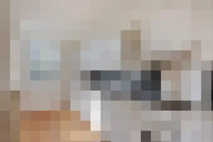 Dr. Kuyperlaan 2 Waalwijk thumbnail 12