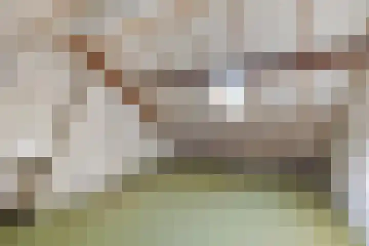 Dr. Kuyperlaan 2 Waalwijk thumbnail 23