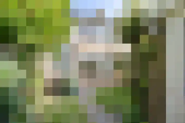 Dr. Kuyperlaan 2 Waalwijk thumbnail 26