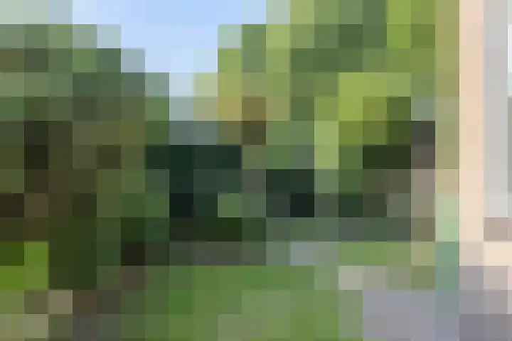 Dr. Kuyperlaan 2 Waalwijk thumbnail 27