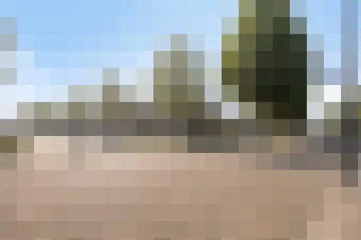 Dr. Kuyperlaan 2 Waalwijk thumbnail 33