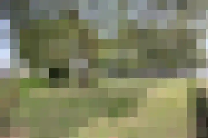 Dr. Kuyperlaan 2 Waalwijk thumbnail 34