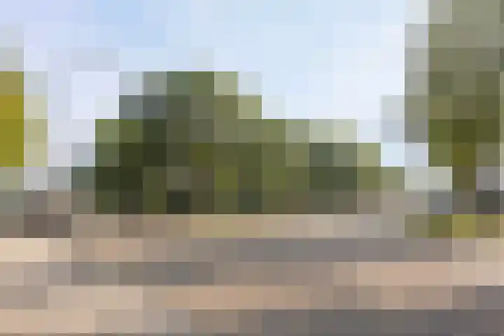 Dr. Kuyperlaan 2 Waalwijk thumbnail 6