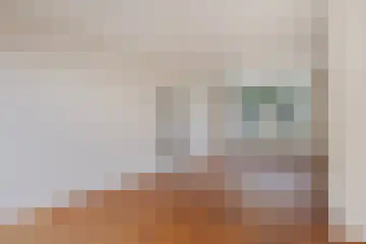 Dr. Kuyperlaan 2 Waalwijk thumbnail 8