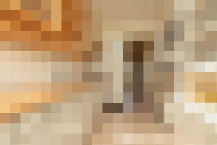 Dr. Kuyperlaan 20 Sneek thumbnail 12