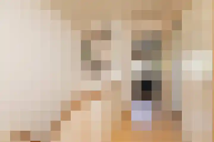 Dr. Kuyperlaan 20 Sneek thumbnail 18