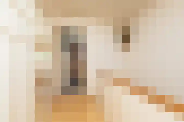 Dr. Kuyperlaan 20 Sneek thumbnail 25