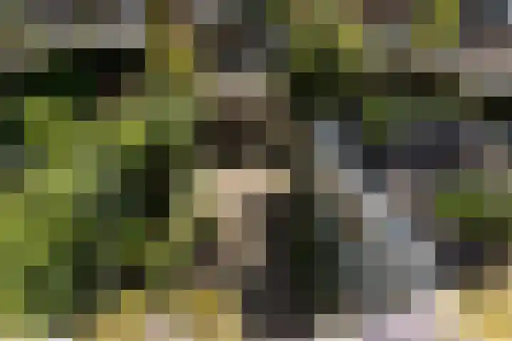 Dr. Kuyperlaan 20 Sneek thumbnail 29