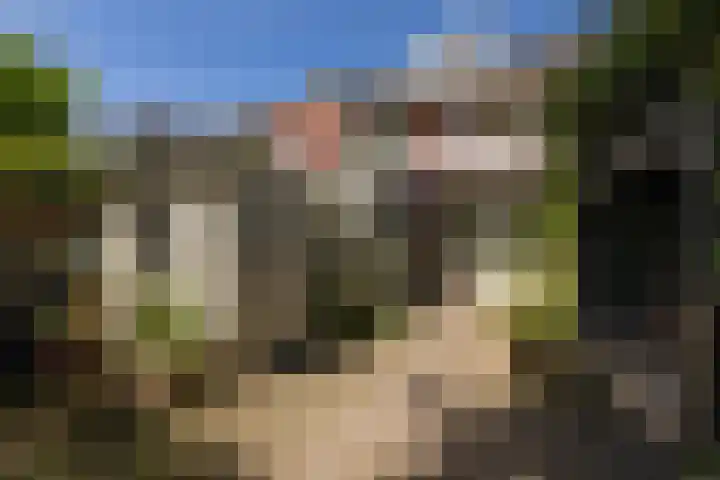 Dr. Kuyperlaan 20 Sneek thumbnail 33