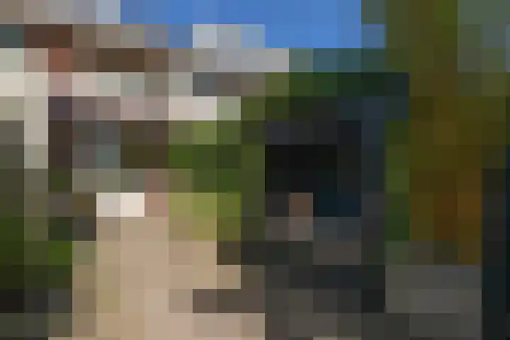 Dr. Kuyperlaan 20 Sneek thumbnail 34