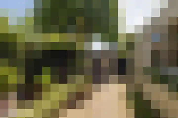 Dr. Kuyperlaan 20 Sneek thumbnail 35