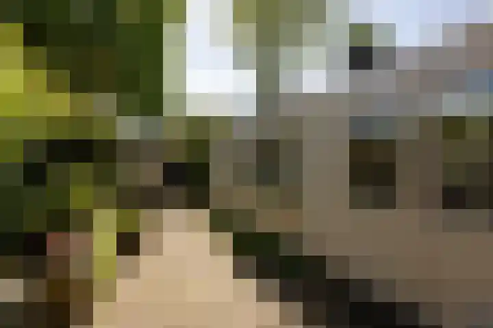 Dr. Kuyperlaan 20 Sneek thumbnail 36