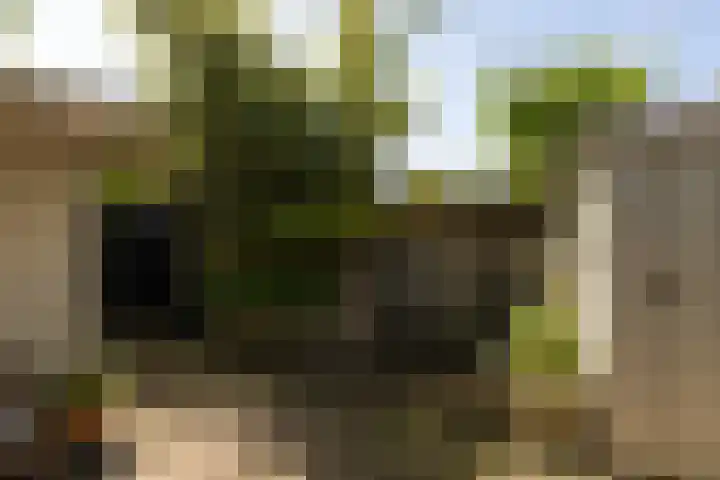 Dr. Kuyperlaan 20 Sneek thumbnail 37