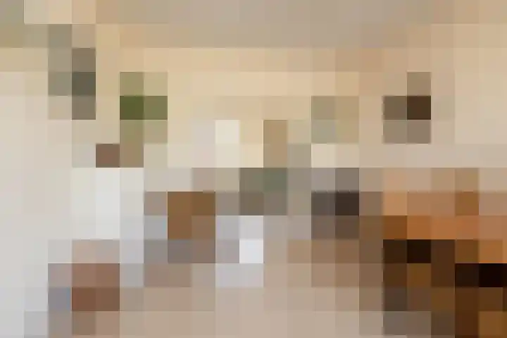 Dr. Kuyperlaan 20 Sneek thumbnail 4