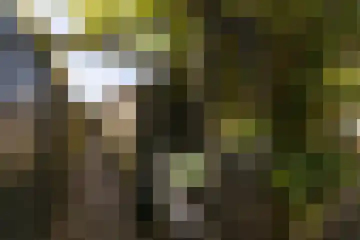Dr. Kuyperlaan 20 Sneek thumbnail 44