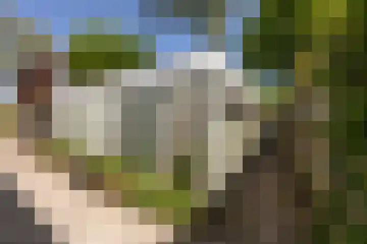 Dr. Kuyperlaan 20 Sneek thumbnail 45