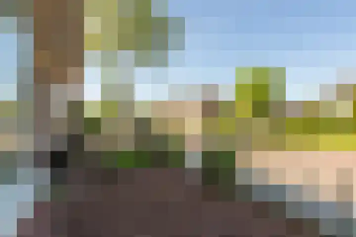 Dr. Kuyperlaan 20 Sneek thumbnail 47