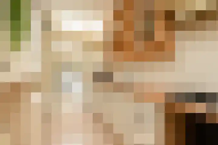 Dr. Kuyperlaan 20 Sneek thumbnail 9