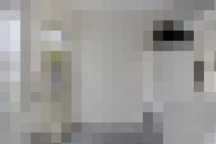 Dr. Kuyperlaan 21 Sneek thumbnail 13