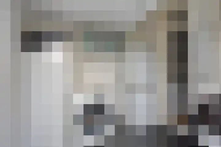 Dr. Kuyperlaan 21 Sneek thumbnail 14