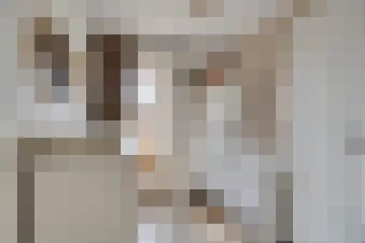Dr. Kuyperlaan 21 Sneek thumbnail 23
