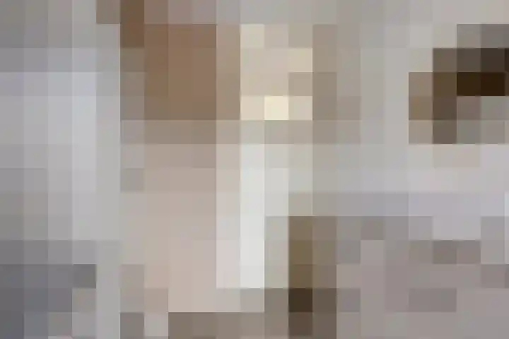 Dr. Kuyperlaan 21 Sneek thumbnail 24